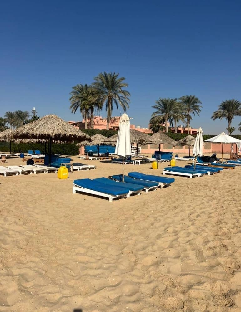 Chalet for Daily Rent in Palmera Sokhna