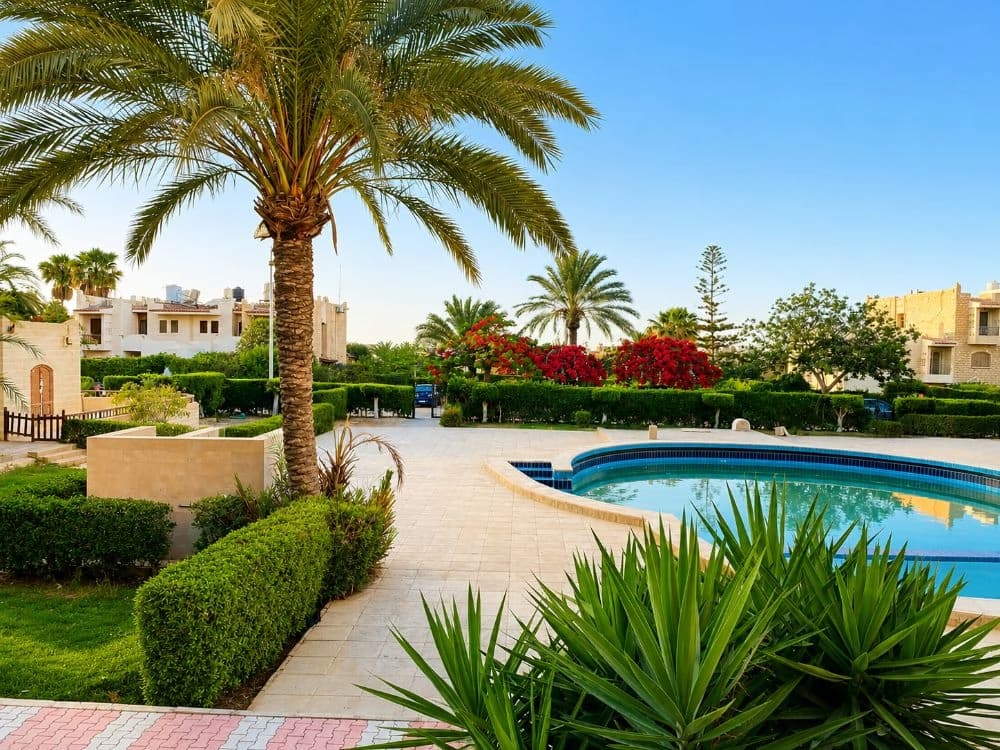 Ground-Floor Apartment with Direct Pool View in Marina 1
